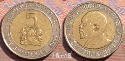 Кения 5 шиллингов 2009 года, KM# 37.1, 098b-092