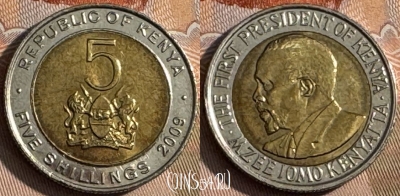 Кения 5 шиллингов 2009 года, KM# 37.1, 144s-111