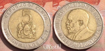 Кения 5 шиллингов 2009 года, KM# 37.1, 281a-013