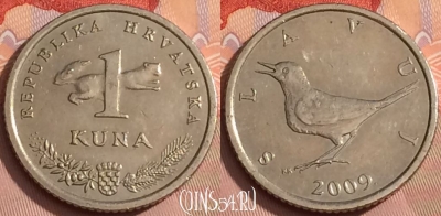 Хорватия 1 куна 2009 года, KM# 9.1, 346k-085