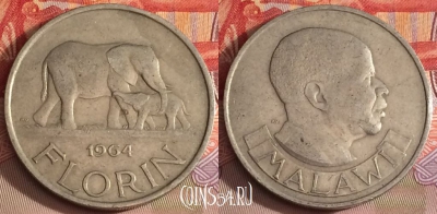 Малави 1 флорин 1964 года, KM# 3, 280b-075