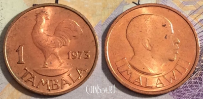 Малави 1 тамбала 1973 года, KM# 7, 154-115