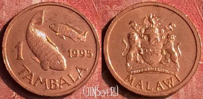 Малави 1 тамбала 1995 года, KM# 33, 399-142