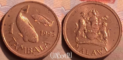 Малави 1 тамбала 1995 года, KM# 33, 424-111