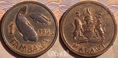 Малави 1 тамбала 1995 года, KM# 33, 464q-221