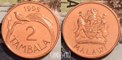 Малави 2 тамбалы 1995 года, KM# 34,  UNC, 240-035