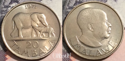 Малави 20 тамбал 1971 года, KM# 11, UNC, 171-143