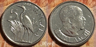 Малави 5 тамбал 1989 года, KM# 9a, s502s-106