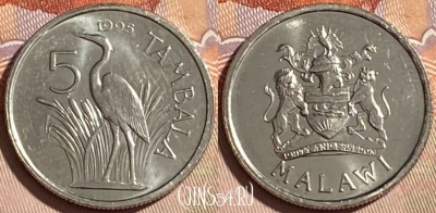 Малави 5 тамбал 1995 года, KM# 32.1, 464q-220