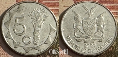 Намибия 5 центов 2009 года, KM# 1, 281t-051