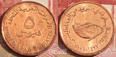 ОАЭ 5 филсов 2001 года, KM# 2.2, 218-061