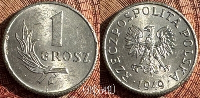 Польша 1 грош 1949 года, Y# 39, 363s-011