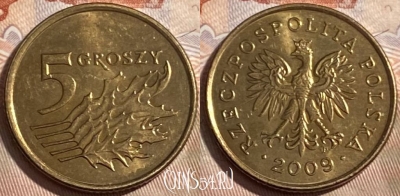Польша 5 грошей 2009 года, Y# 278, 498р-017