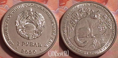 Приднестровье 1 рубль 2020 г., лесная кошка, UNC, 070k-074