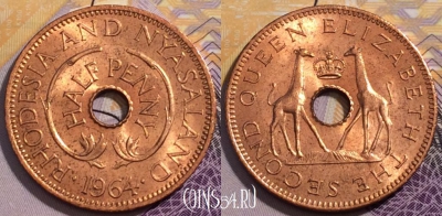 Родезия и Ньясаленд 1/2 пенни 1964 года, KM# 1, 235-028