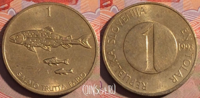 Словения 1 толар 1993 года, KM# 4, 194a-097