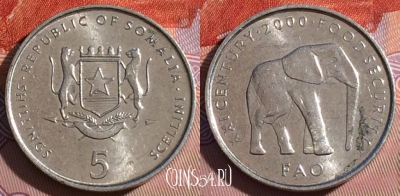 Сомали 5 шиллингов 2000 года, KM# 45, 178c-021