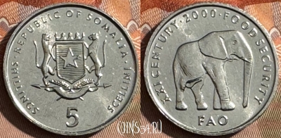 Сомали 5 шиллингов 2000 года, KM# 45, UNC, 504s-040