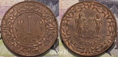 Суринам 1 цент 1970 года, KM 11, 120-113