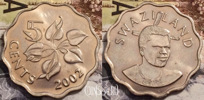 Свазиленд 5 центов 2002 года, KM# 48, UNC, 245-017
