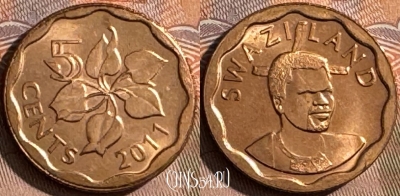 Свазиленд 5 центов 2011 года, KM# 56, UNC, 504s-064