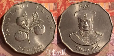 Тонга 50 сенити 1981 года, KM# 71, UNC, 201m-148