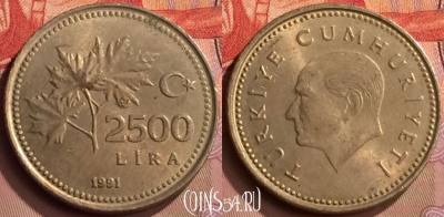 Турция 2500 лир 1991 года, KM# 1015, 418-100