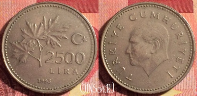 Турция 2500 лир 1993 г., редкая, KM# 1015, 264i-025