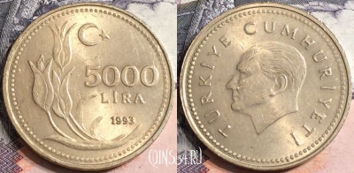 Турция 5.000 лир 1993 года, KM# 1025, a100-117