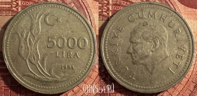 Турция 5000 лир 1994 года, KM# 1025, 357s-118