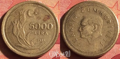 Турция 5000 лир 1995 года, KM# 1029.1, 229i-001