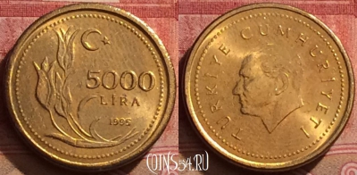 Турция 5000 лир 1995 года, KM# 1029.1, 289k-136