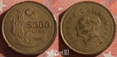 Турция 5000 лир 1996 года, KM# 1029.1, 353-059