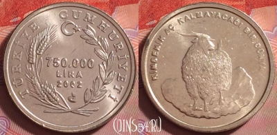 Турция 750.000 лир 2002 года, KM# 1162, UNC, 288j-048