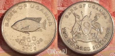 Уганда 200 шиллингов 2008 года, KM# 68a, 257-097