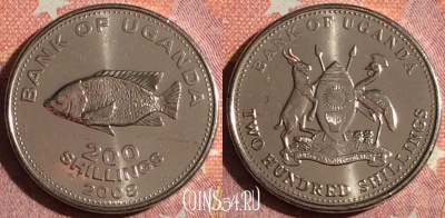 Уганда 200 шиллингов 2008 года, KM# 68a, 361-143