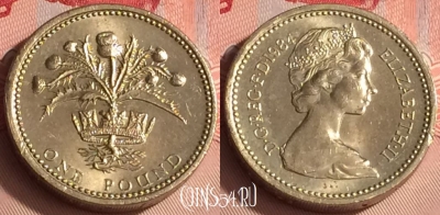 Великобритания 1 фунт 1984 года, KM# 934, 306o-066