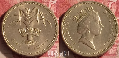 Великобритания 1 фунт 1985 года, KM# 941, 454o-039 ♛