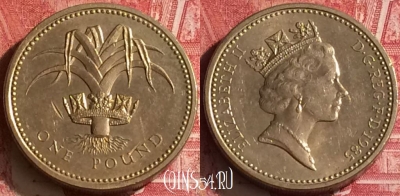 Великобритания 1 фунт 1985 года, KM# 941, 454o-052 ♛