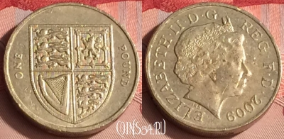 Великобритания 1 фунт 2009 года, KM# 1113, 304o-132