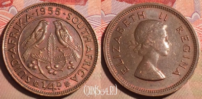 ЮАР (Южная Африка) 1/4 пенни 1955 года, KM# 44, 204a-075