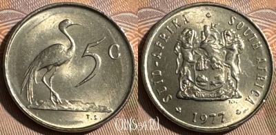 ЮАР 5 центов 1977 года, KM# 84, 484s-101