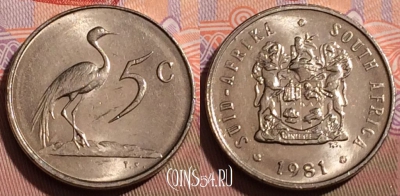 ЮАР 5 центов 1981 года, KM# 84, 242b-041