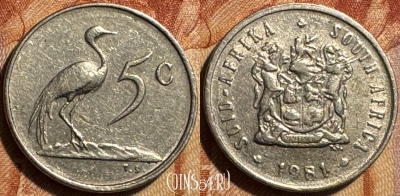 ЮАР 5 центов 1981 года, KM# 84, 502s-048