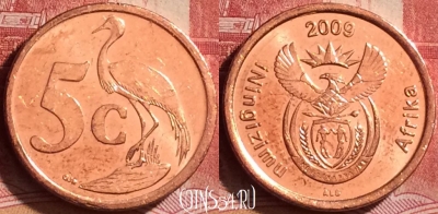 ЮАР 5 центов 2009 года, KM# 464, 240l-117