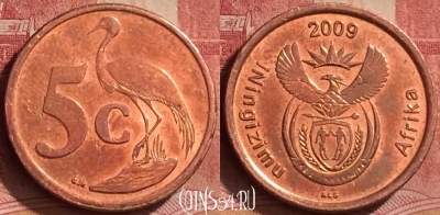 ЮАР 5 центов 2009 года, KM# 464, 260l-014