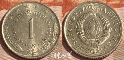 Югославия 1 динар 1977 года, KM# 59, 387r-143