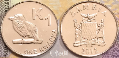 Замбия 1 квача 2012 года, КМ# 209, UNC, 155-068