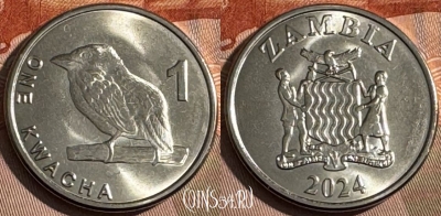 Замбия 1 квача 2024 года, UNC, s507s-131