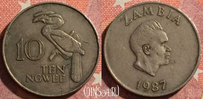 Замбия 10 нгве 1987 года, КМ# 12, 346-056